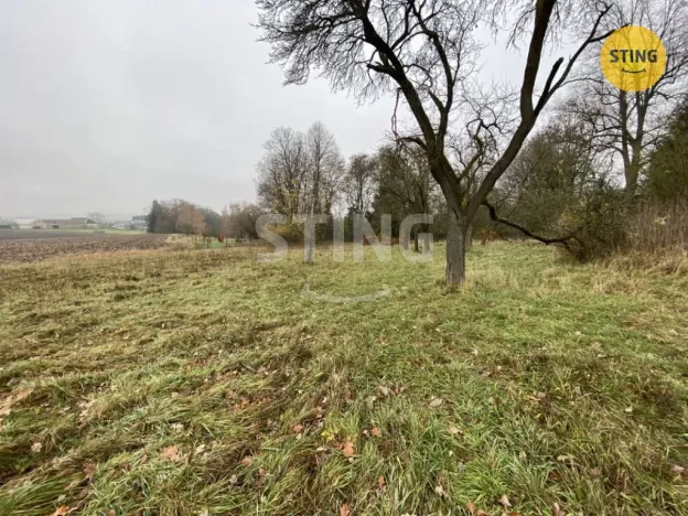 Prodej rodinného domu, Dětřichov u Moravské Třebové, 300 m2