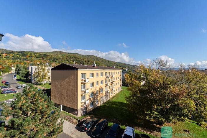 Prodej bytu 2+1, Krupka, Sídliště, 53 m2