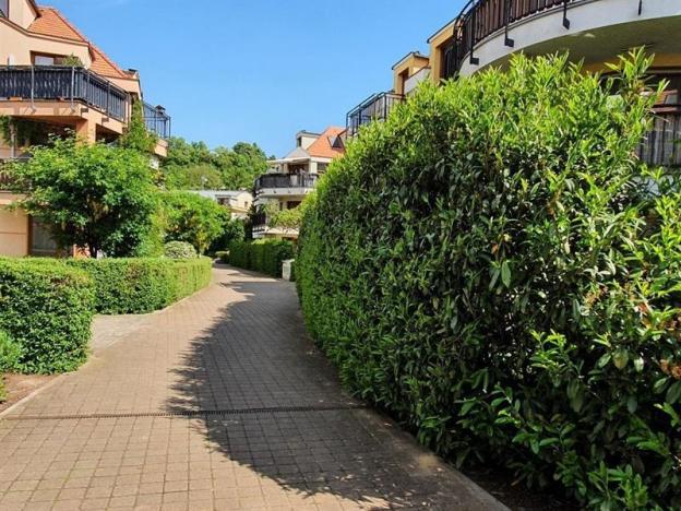 Pronájem bytu 3+kk, Praha - Troja, Sádky, 106 m2