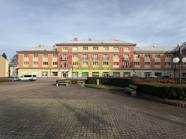 Prodej bytu 2+1, Horní Slavkov, Dlouhá, 57 m2