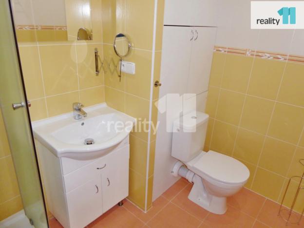 Pronájem bytu 1+kk, Plzeň - Bolevec, Kaznějovská, 40 m2