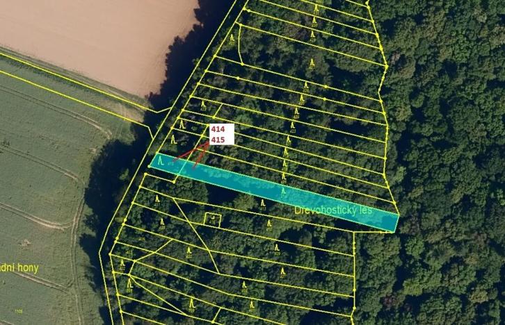 Dražba lesa, Hradčany-Kobeřice, 975 m2