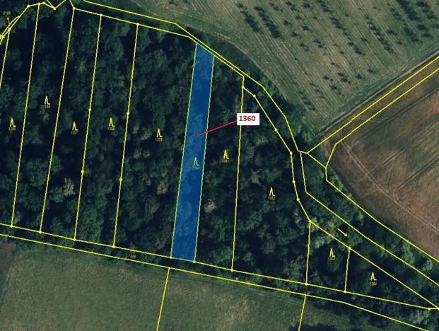 Dražba lesa, Hradčany-Kobeřice, 1221 m2