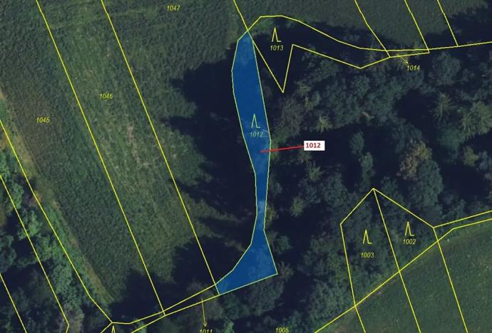 Dražba lesa, Spešov, 500 m2