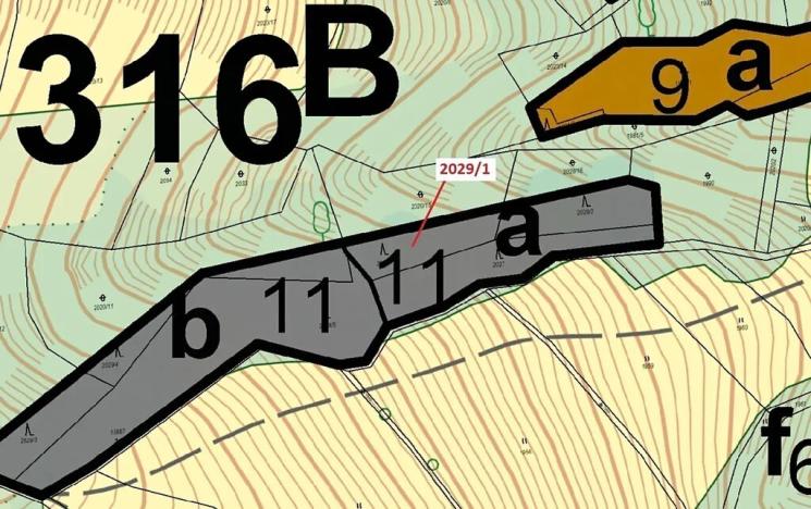 Dražba lesa, Hovězí, 680 m2