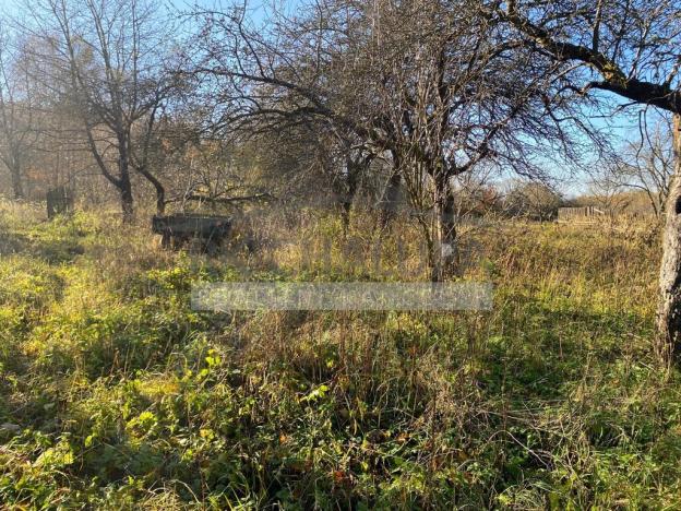 Prodej rodinného domu, Číměř - Nová Ves, 3602 m2