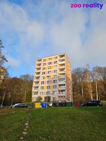 Prodej bytu 1+1, Litvínov - Horní Litvínov, Tylova, 37 m2