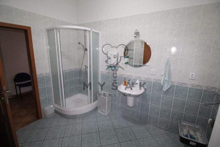 Pronájem pokoje, České Budějovice - České Budějovice 3, Holečkova, 20 m2