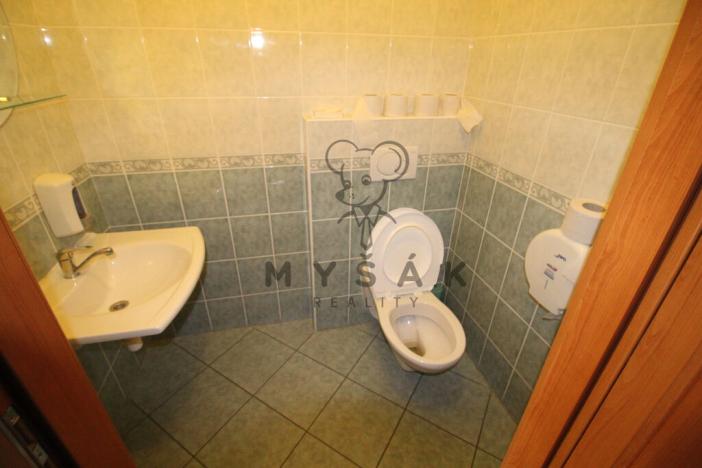 Pronájem pokoje, České Budějovice - České Budějovice 3, Holečkova, 20 m2