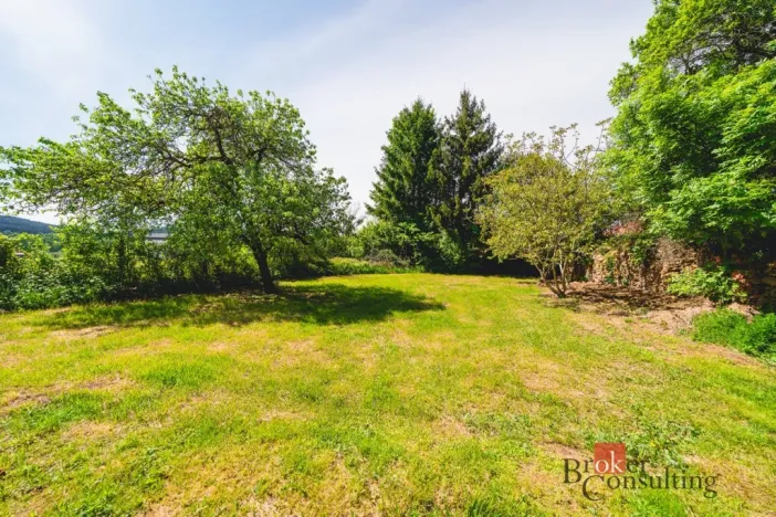 Prodej chalupy, Vlkanov, 320 m2