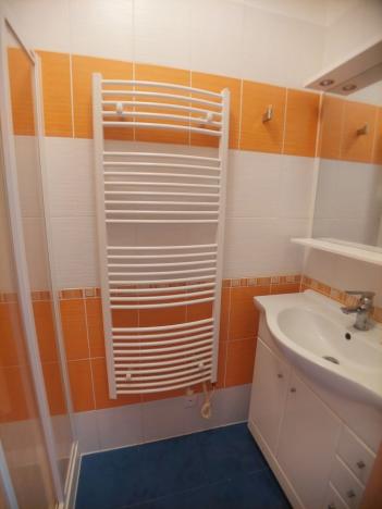 Pronájem bytu 1+1, Tábor, 9. května, 30 m2