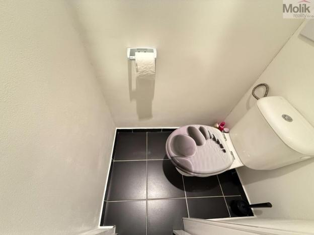 Pronájem bytu 2+1, Teplice - Trnovany, Antala Staška, 65 m2