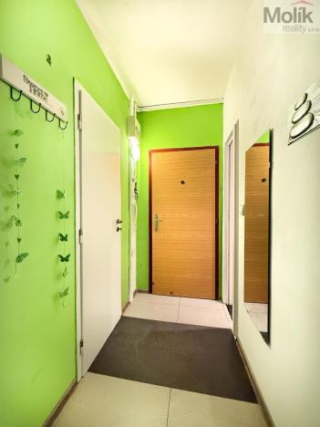 Pronájem bytu 2+1, Teplice - Trnovany, Antala Staška, 65 m2