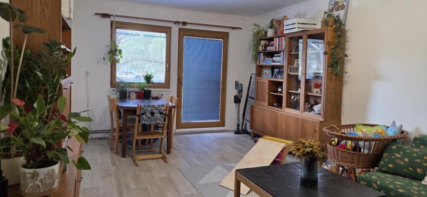 Pronájem bytu 3+1, Lipová-lázně, 55 m2