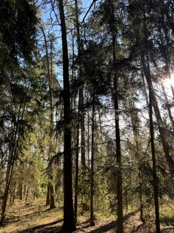 Prodej pozemku, Slabčice, 9236 m2