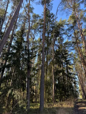 Prodej pozemku, Slabčice, 9236 m2