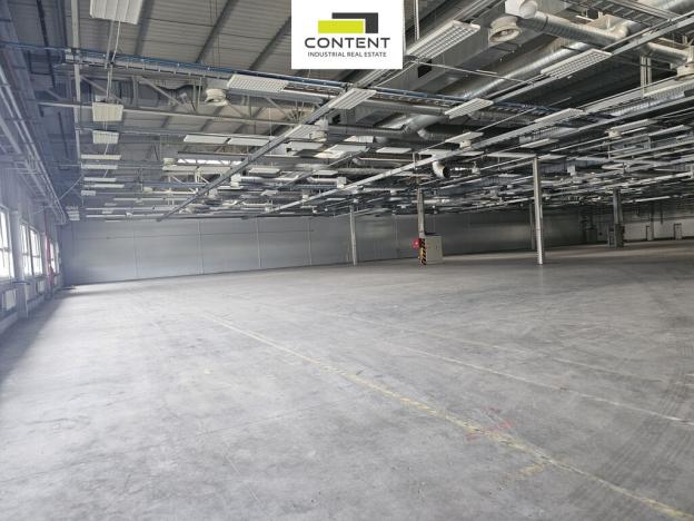 Pronájem výrobních prostor, Plzeň - Skvrňany, U Nové Hospody, 3820 m2