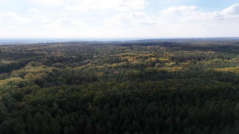 Prodej výrobních prostor, Seletice, 1508 m2