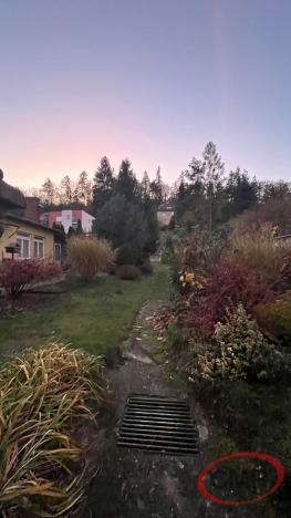 Pronájem bytu 4+1, Praha, Elišky Přemyslovny, 125 m2