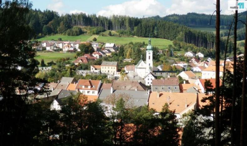 Prodej louky, Jimramov - Benátky, 11779 m2