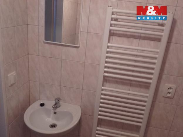 Pronájem bytu 1+kk, Horní Benešov - Luhy, 26 m2