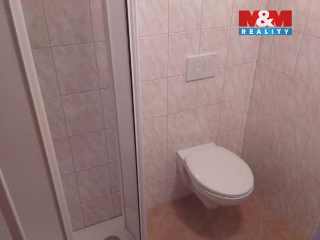 Pronájem bytu 1+kk, Horní Benešov - Luhy, 26 m2