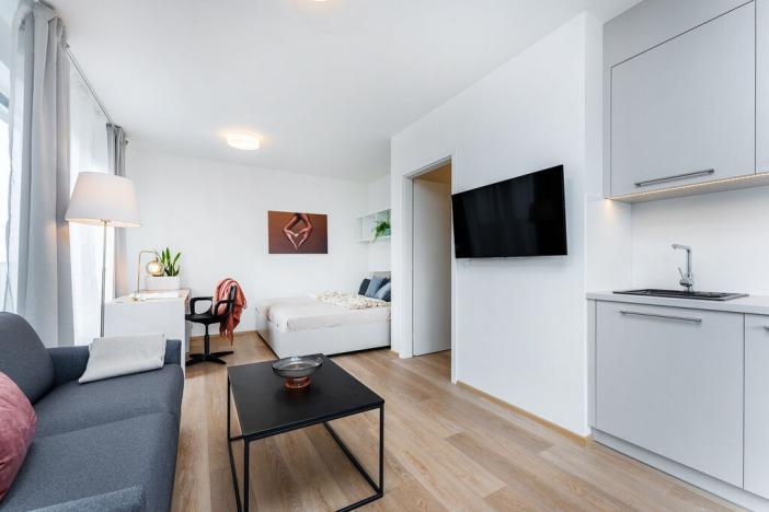 Pronájem bytu 1+kk, Plzeň - Skvrňany, Františka Kováříka, 39 m2