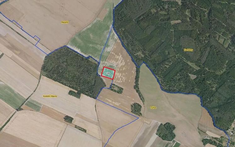 Prodej pole, Tuřice, 13416 m2