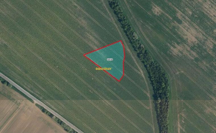 Prodej pole, Horky nad Jizerou, 4398 m2