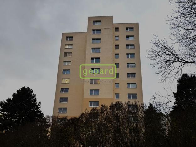 Pronájem bytu 1+1, Liberec - Liberec XIII-Nové Pavlovice, Bezová, 39 m2