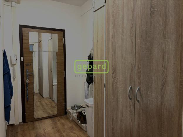 Pronájem bytu 1+1, Liberec - Liberec XIII-Nové Pavlovice, Bezová, 39 m2