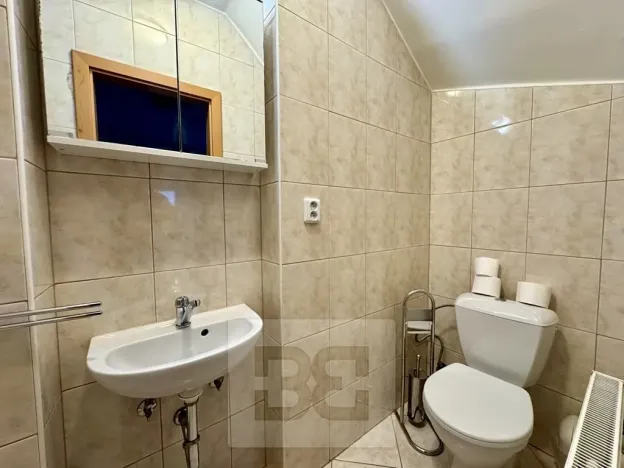 Pronájem rodinného domu, Česká, 200 m2