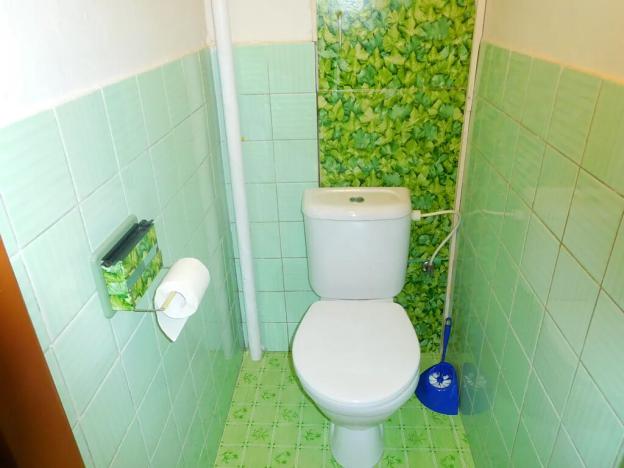 Pronájem bytu 1+1, Frýdlant nad Ostravicí, Janáčkova, 38 m2