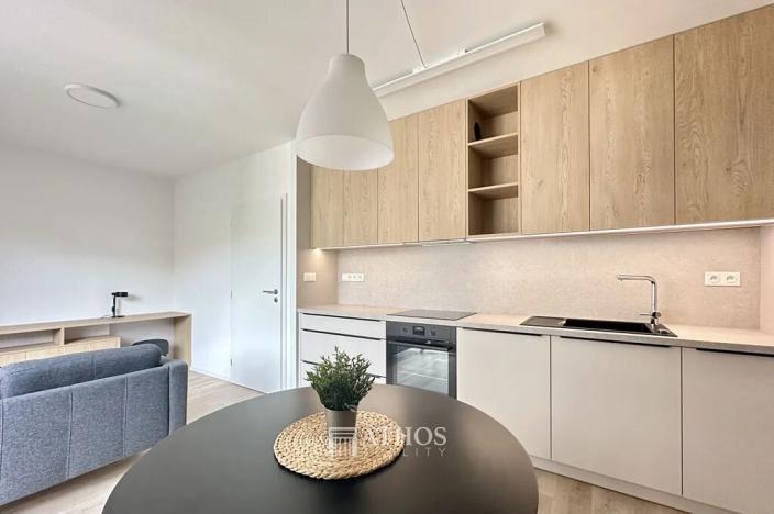 Pronájem bytu 2+kk, Brno, Auerswaldova, 45 m2