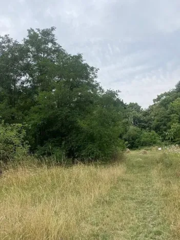 Dražba pozemku, Praha - Michle, 8863 m2