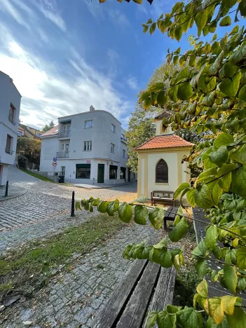 Prodej bytu 5+kk, Praha - Střešovice, Nad hradním vodojemem, 193 m2