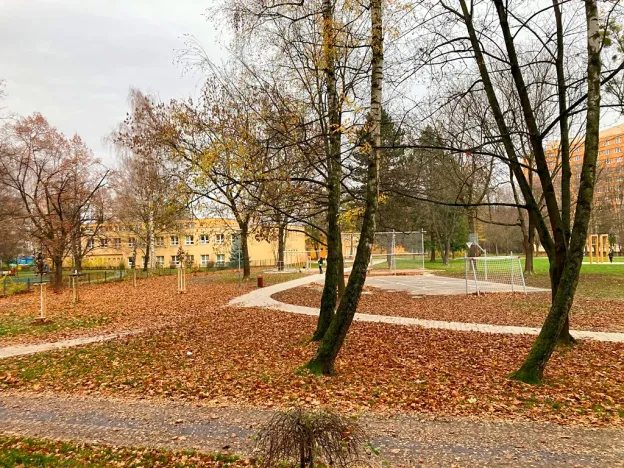 Pronájem bytu 3+1, Ostrava, Svojsíkova, 74 m2