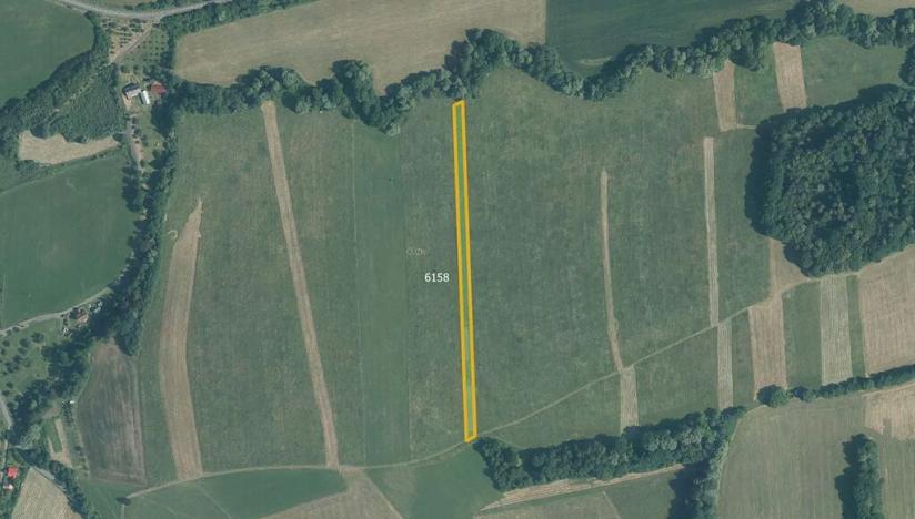 Prodej pole, Police, 4489 m2