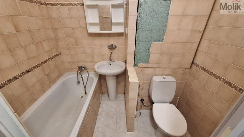 Prodej bytu 2+kk, Teplice - Trnovany, Trnovanská, 44 m2