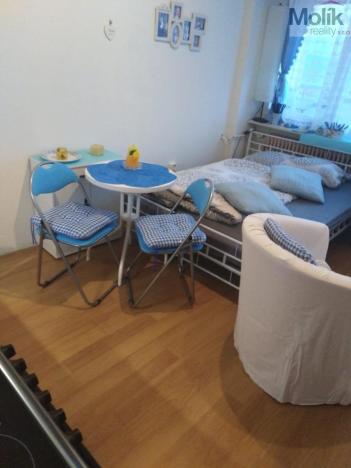 Prodej bytu 1+kk, Most, U Věžových domů, 21 m2