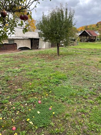 Prodej pozemku pro bydlení, Kladruby, 931 m2