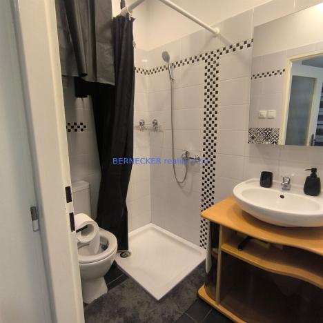 Pronájem bytu 1+kk, Hradec Králové, Švehlova, 18 m2