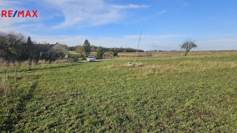 Prodej pozemku pro bydlení, Albrechtice nad Vltavou, 8893 m2