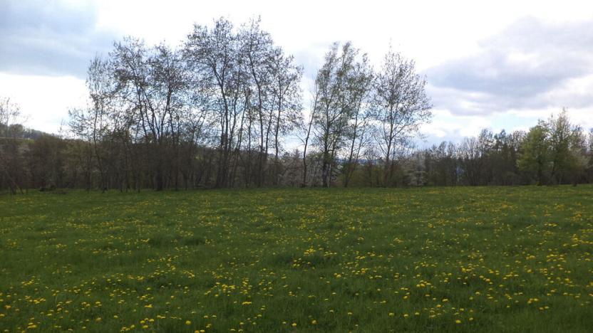 Prodej pozemku, Staré Město - Nová Véska, 10063 m2