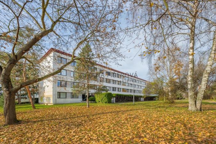 Pronájem bytu 3+1, Praha, V rovinách, 56 m2