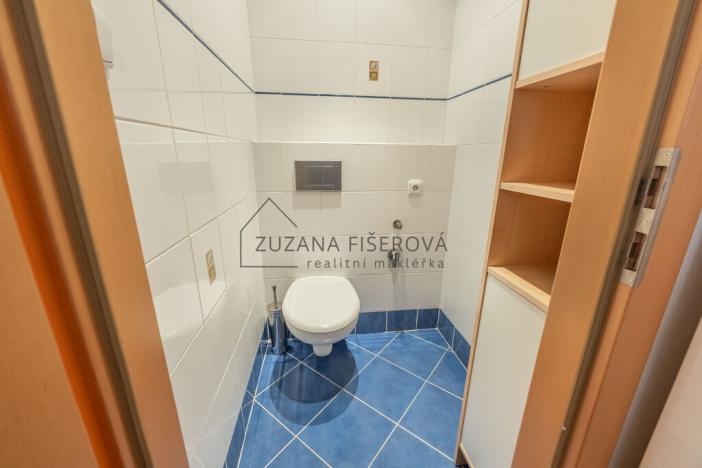 Pronájem bytu 3+1, Praha, V rovinách, 56 m2