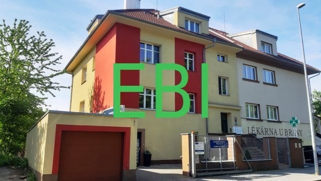 Pronájem bytu 1+1, Praha - Libeň, Budínova, 42 m2