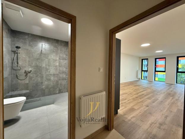 Pronájem bytu 1+kk, Olomouc, Janského, 46 m2