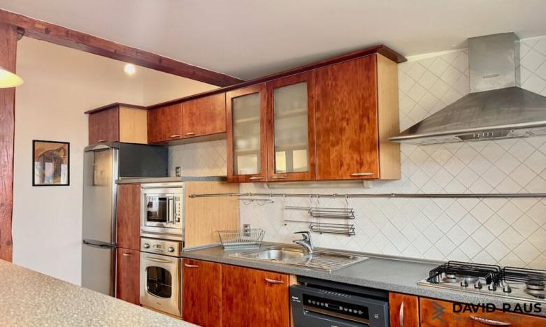 Pronájem atypického bytu, Brno - Veveří, Gorkého, 61 m2