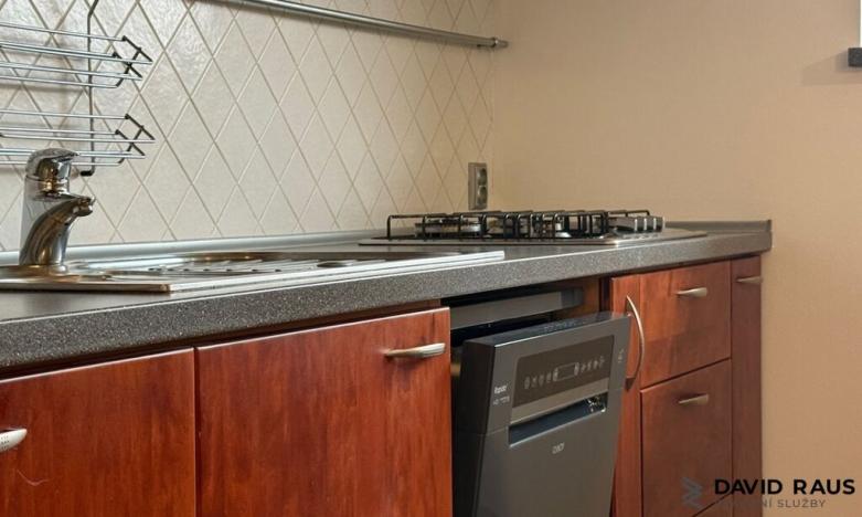 Pronájem atypického bytu, Brno - Veveří, Gorkého, 61 m2